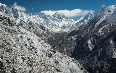 The Rise of Remote Work and How to Adapt