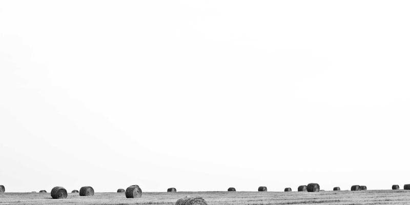 UX/UI Design Portfolio Workshop