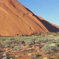 Illustration of a document with a checkmark, indicating success